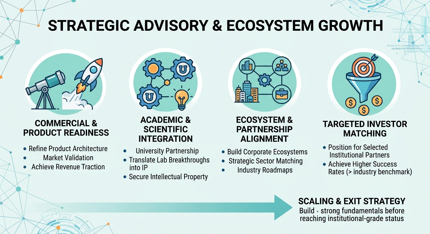 Strategic Advisory Beyond Traditional Venture Capital for Scale-Ups and Research Spin-Outs Colombia